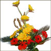 Beauty of Nature - Click here to View more details about this Product